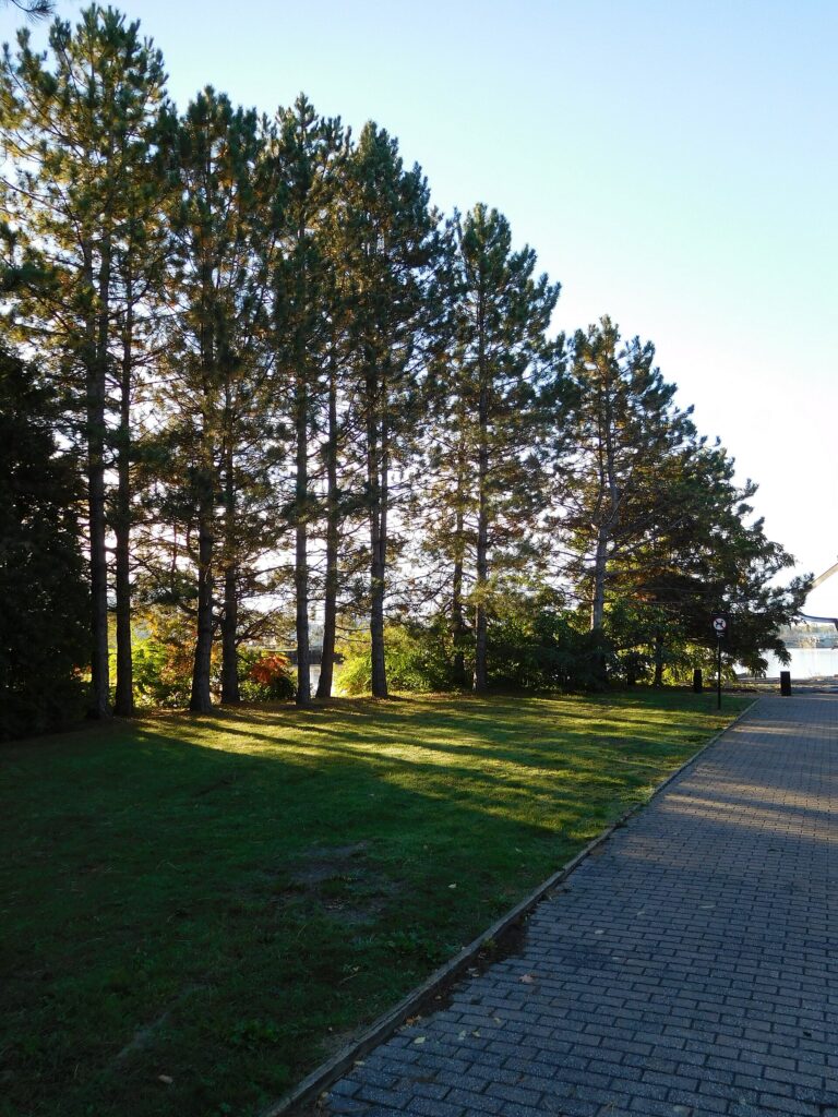 Parc Montcalm