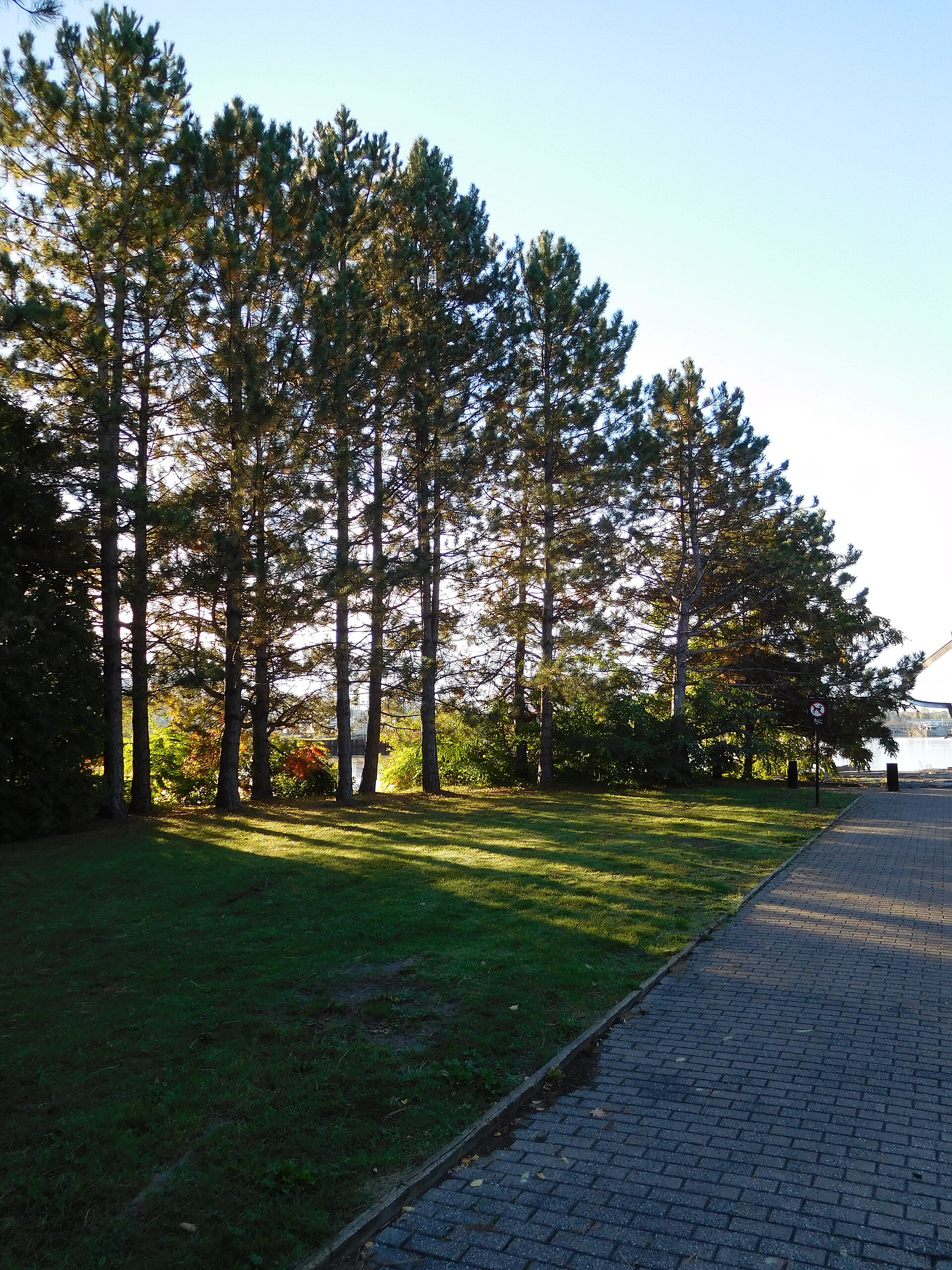 Parc Montcalm