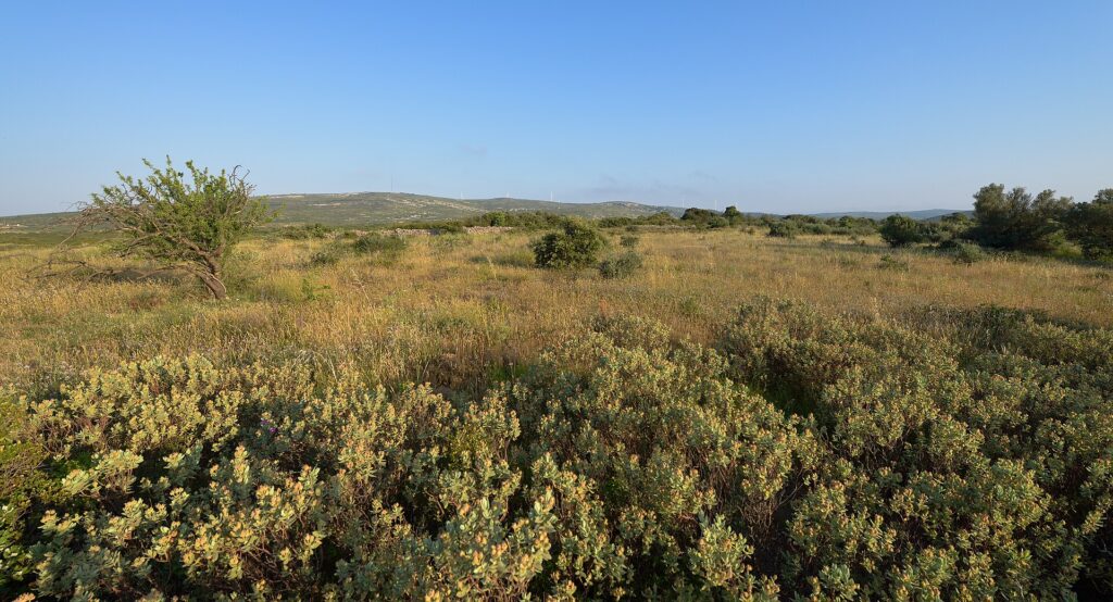 Collines de la Moure -