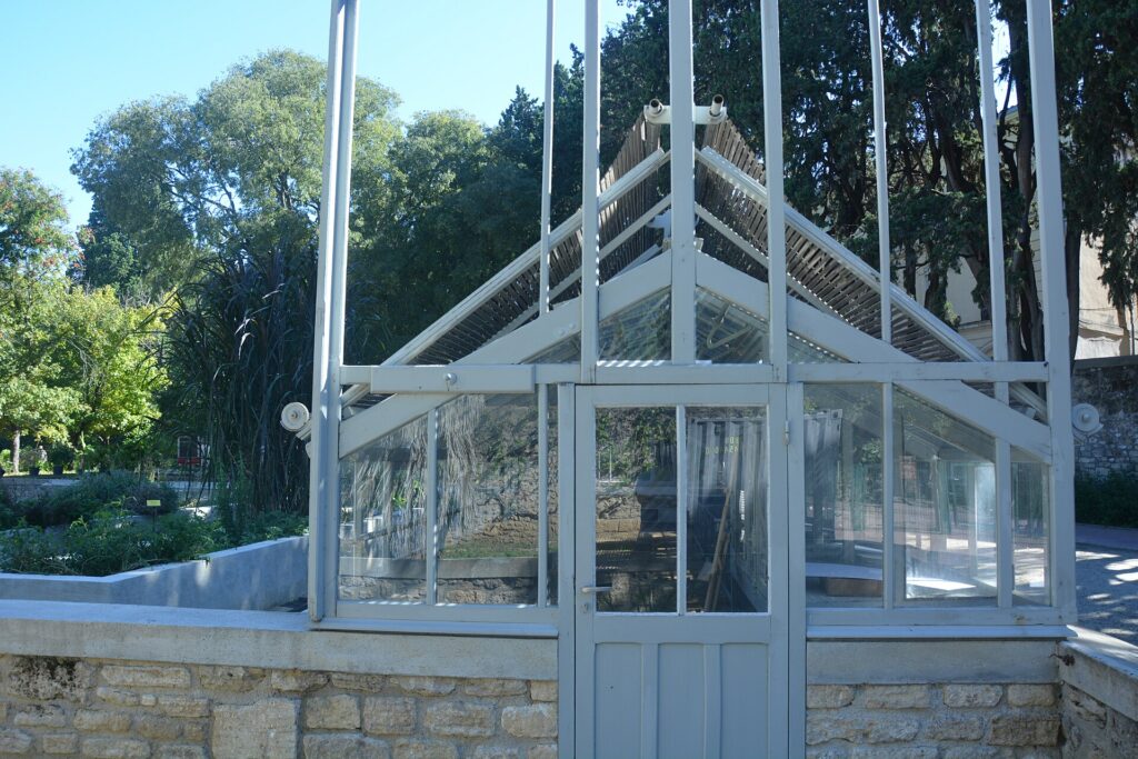 Jardin des Plantes -