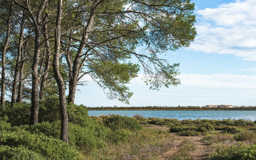 Plage des Aresquiers - Vic-la-Gardiole