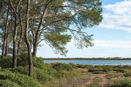 Plage des Aresquiers - Vic-la-Gardiole