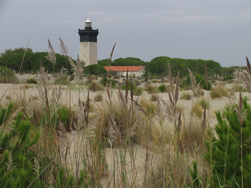 Pointe de l&rsquo;Espiguette - Le Grau-du-Roi