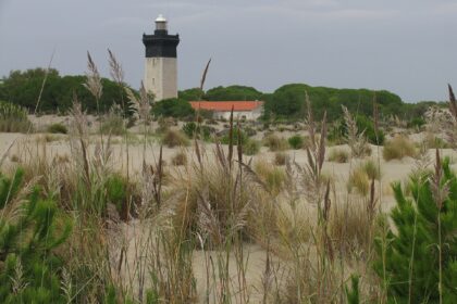 Pointe de l&rsquo;Espiguette - Le Grau-du-Roi