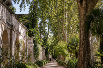 Le Jardin des Plantes de Montpellier : une parenthèse botanique au cœur de la ville