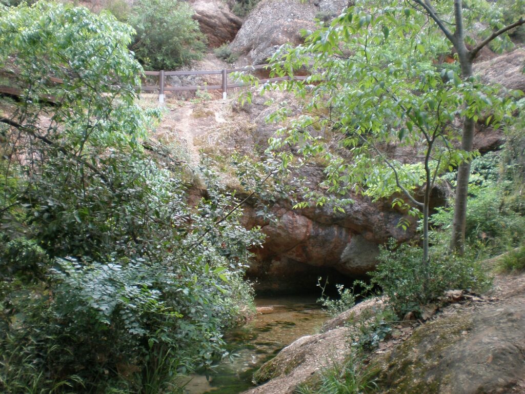Source de l’Avy et Oasis des Garrigues -