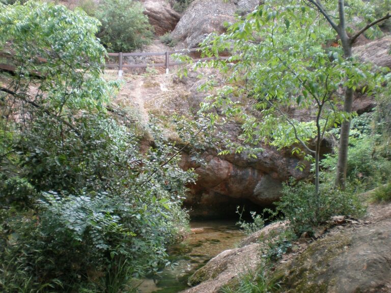 Source de l’Avy et Oasis des Garrigues -